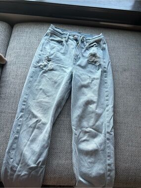 American Eagle Outfitters Light Wash Boyfriend Jeans with Distressing